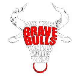 BraveBulls Training