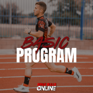 Basic Program (plani Online)