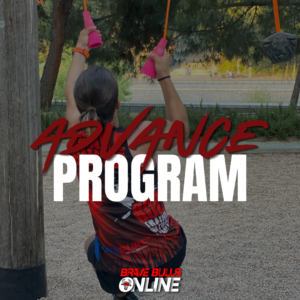 Advance Program (plani Online)