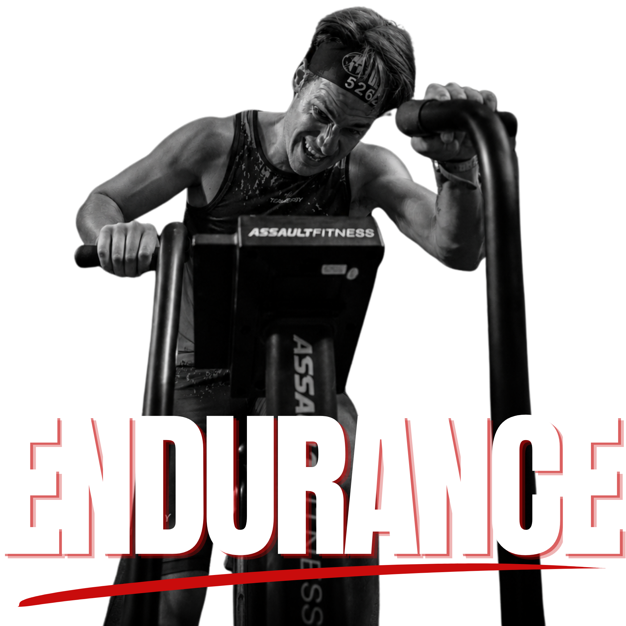 Endurance Híbrido